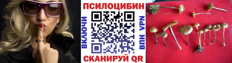 Галлюциногенные грибы Magic Shrooms  Теберда 